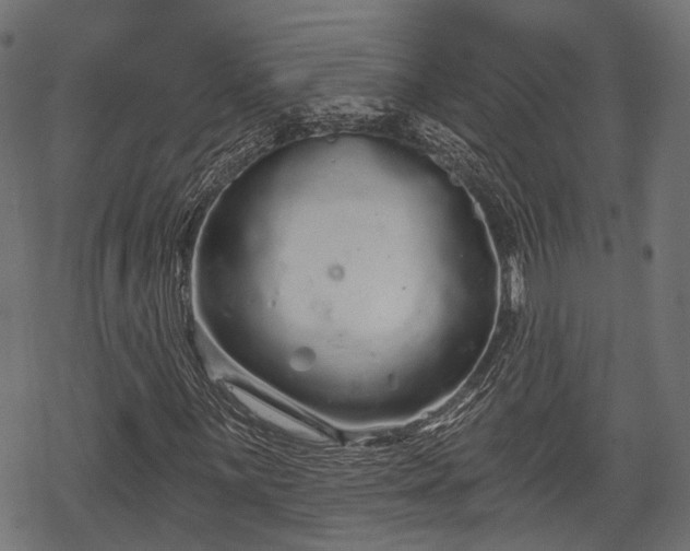 X0000068811059200605121244