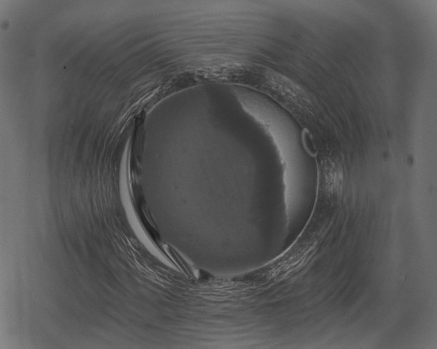 X0000068811060200605121244