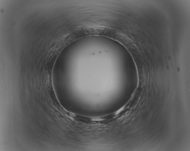 X0000068811061200605121244