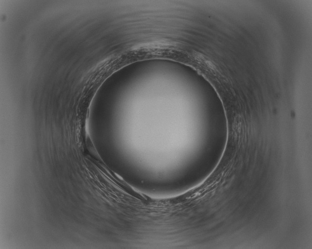 X0000068811062200605121244