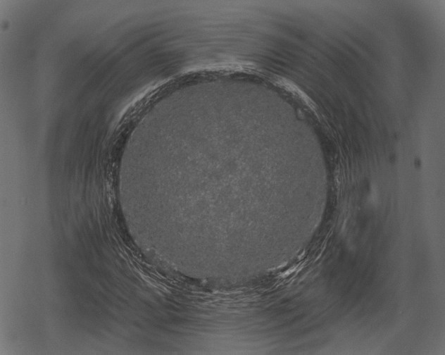 X0000068811064200605121244