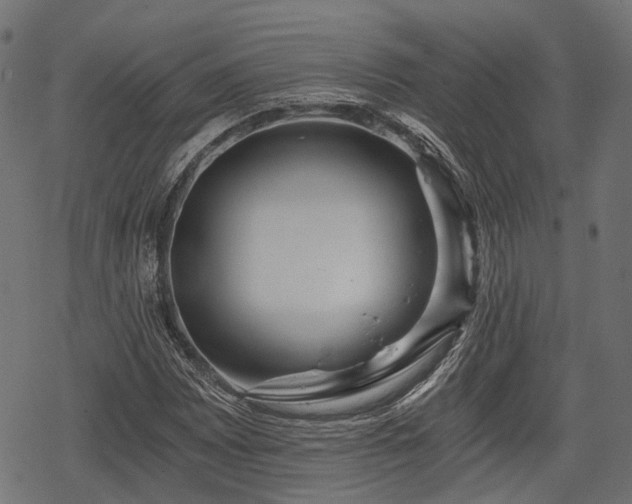 X0000068811065200605121244