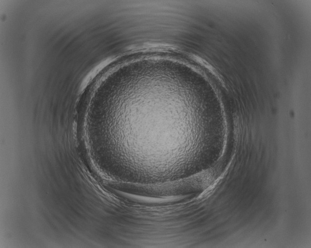 X0000068811066200605121244