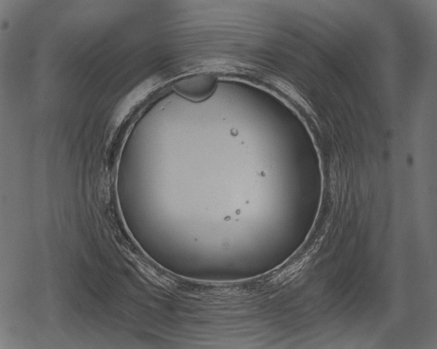 X0000068811067200605121244