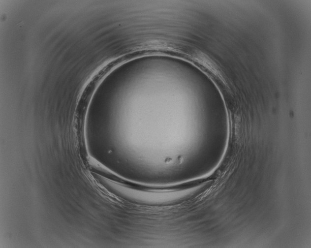 X0000068811068200605121244