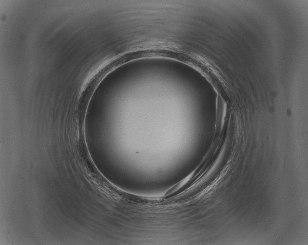 X0000068811069200605121244