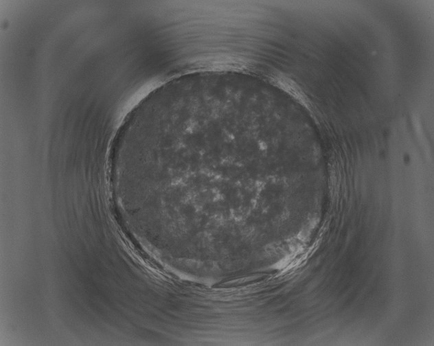 X0000068811071200605121244