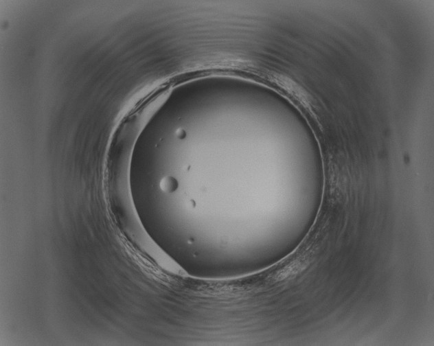 X0000068811072200605121244