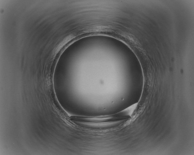 X0000068811073200605121244