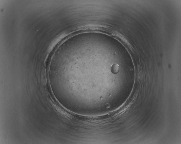 X0000068811075200605121244