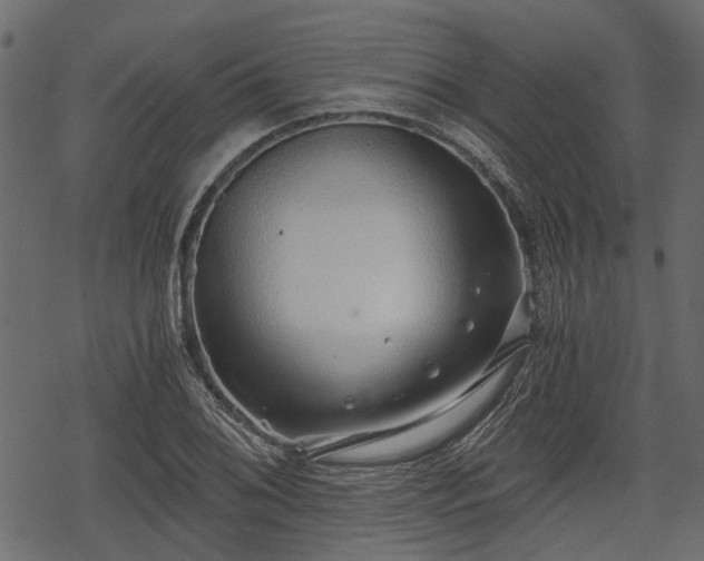 X0000068811076200605121244