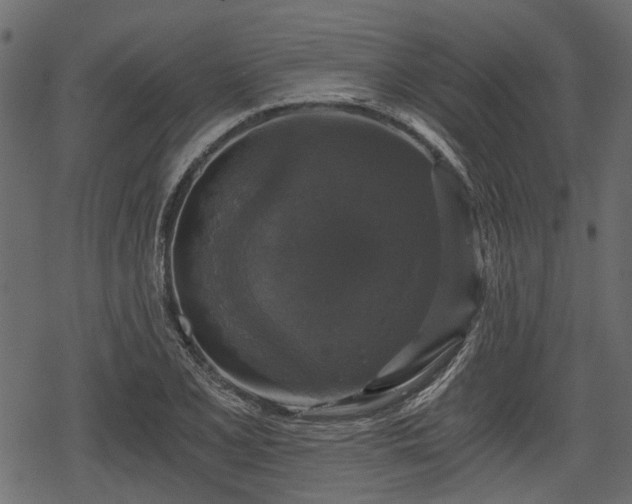 X0000068811077200605121244