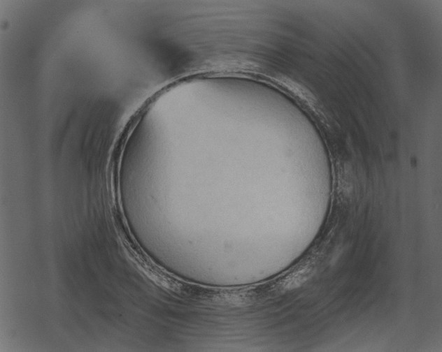 X0000068811078200605121244