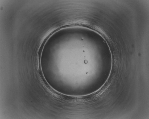 X0000068811079200605121244