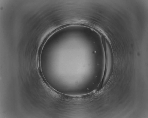 X0000068811080200605121244