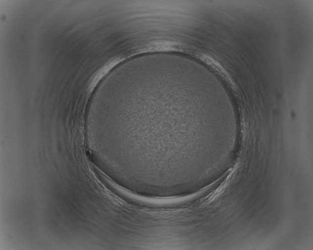 X0000068811081200605121244