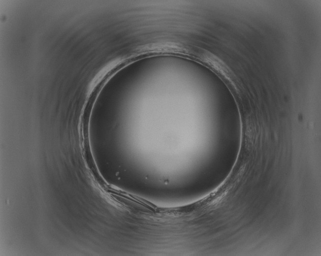 X0000068811082200605121244