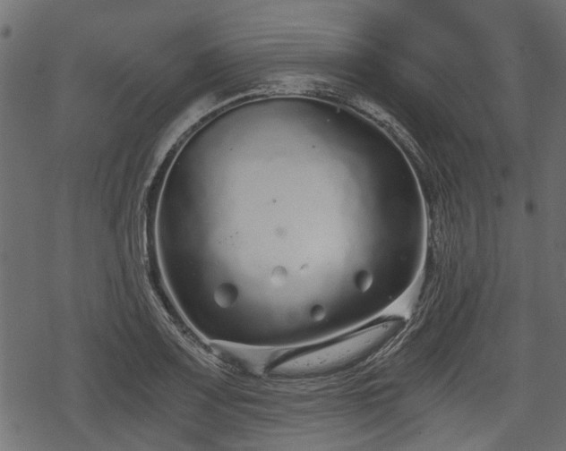 X0000068811083200605121244