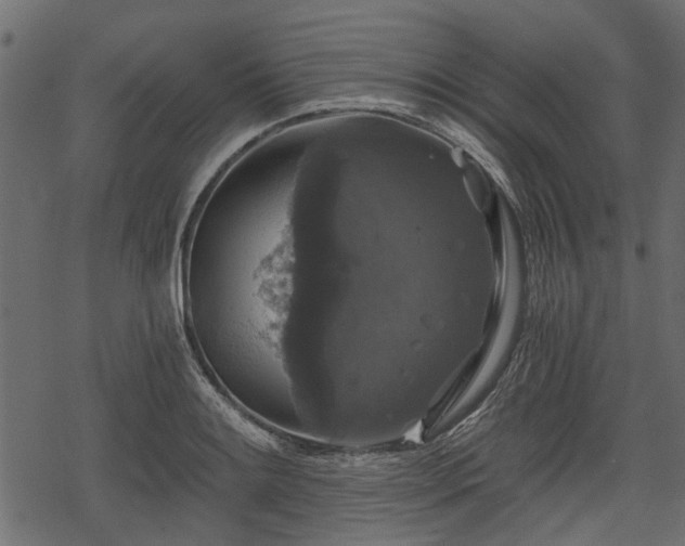 X0000068811084200605121244