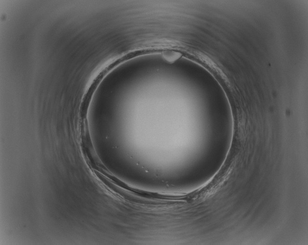 X0000068811085200605121244