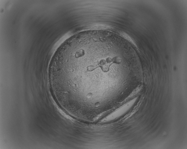 X0000068811087200605121244