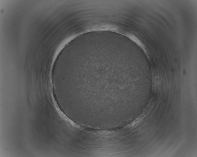 X0000068811088200605121244