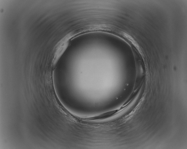 X0000068811089200605121244