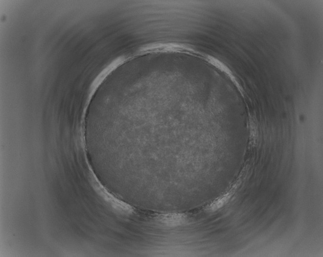 X0000068811090200605121244