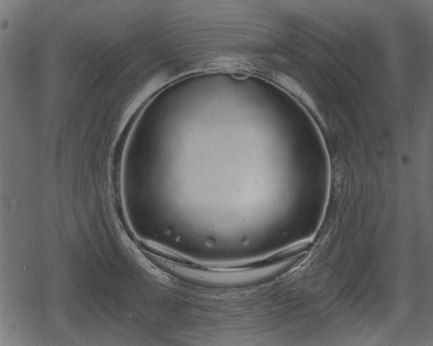 X0000068811091200605121244