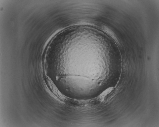 X0000068811092200605121244