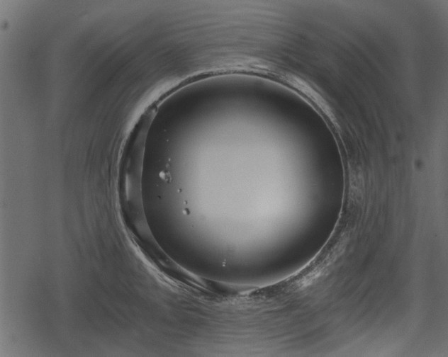 X0000068811093200605121244