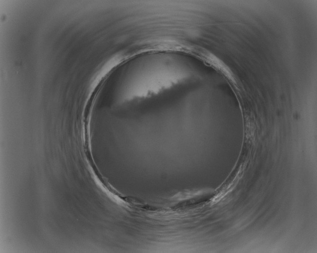 X0000068811095200605121244