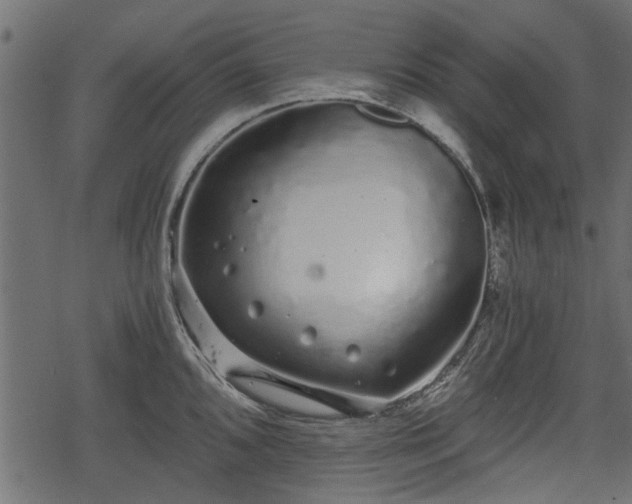 X0000068811096200605121244