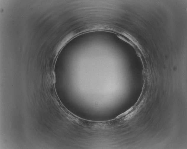 X0000068811097200605121244