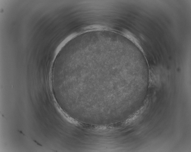 X0000068811098200605121244