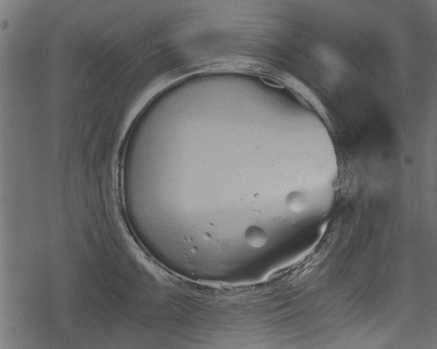 X0000068811099200605121244