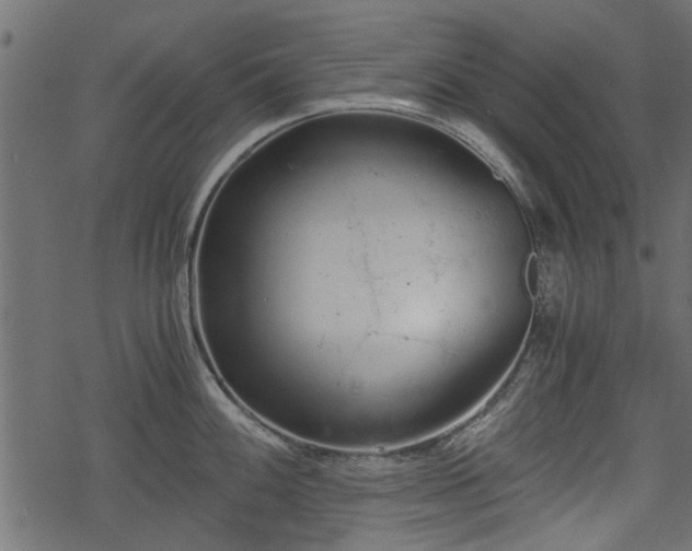 X0000068811100200605121244