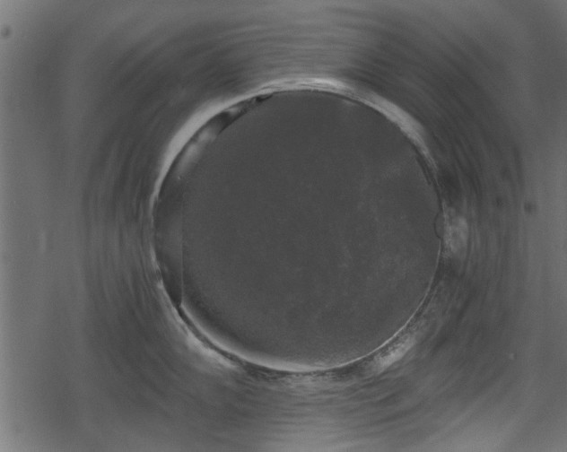 X0000068811102200605121244