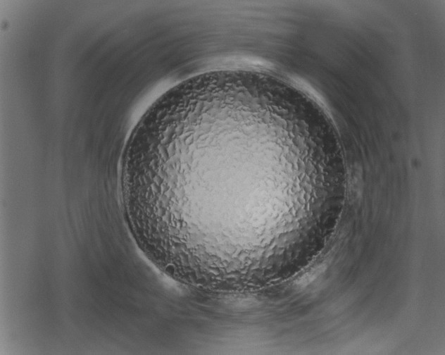 X0000068811103200605121244