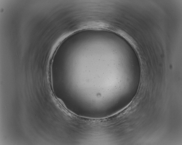 X0000068811104200605121244