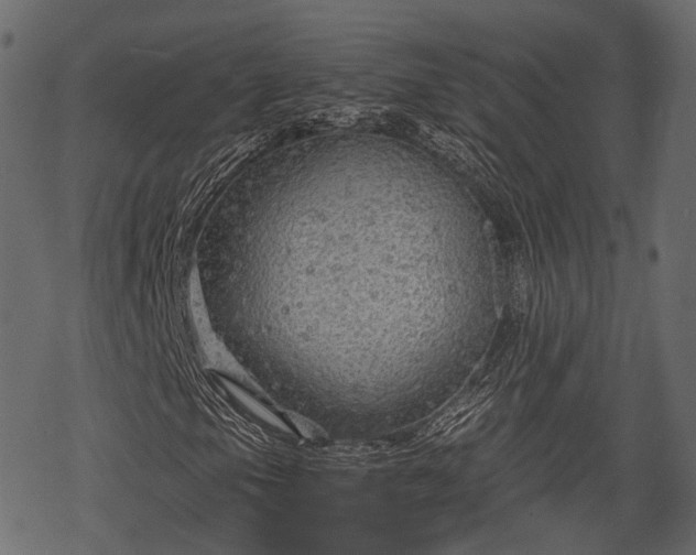 X0000068811105200605121243