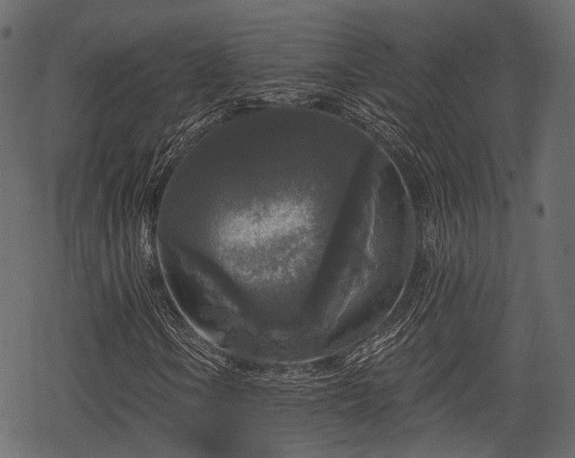 X0000068811106200605121243