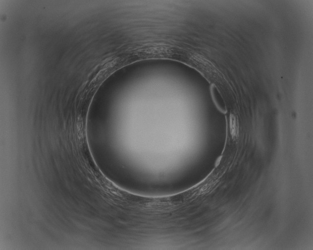 X0000068811107200605121243