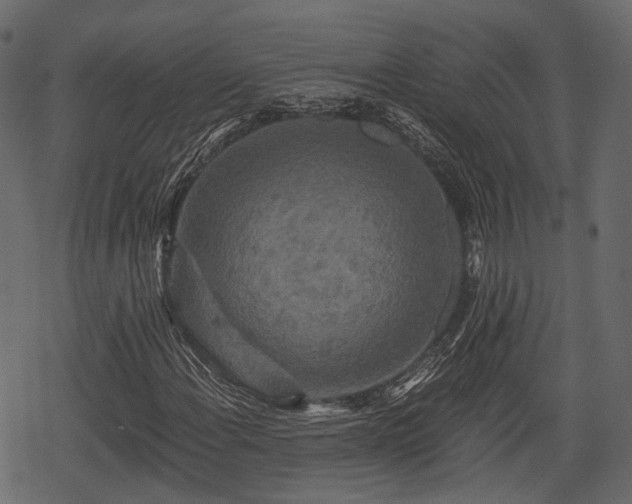 X0000068811108200605121243