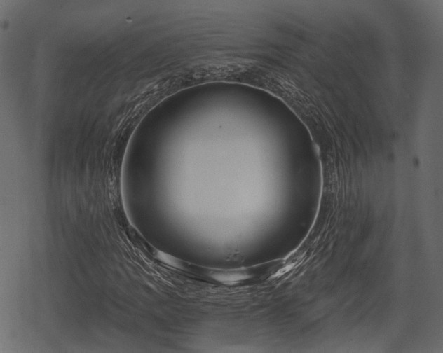 X0000068811109200605121243