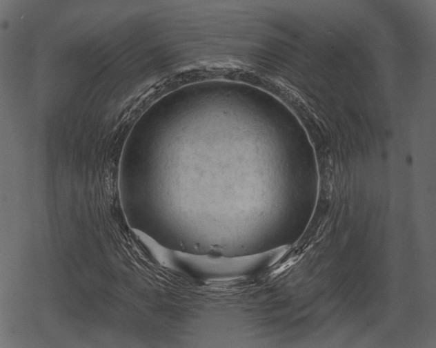 X0000068811110200605121243