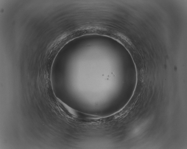 X0000068811111200605121243