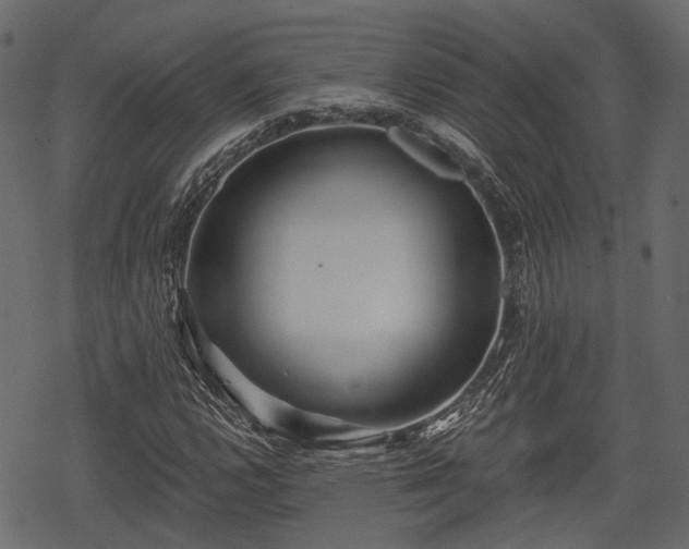 X0000068811112200605121243