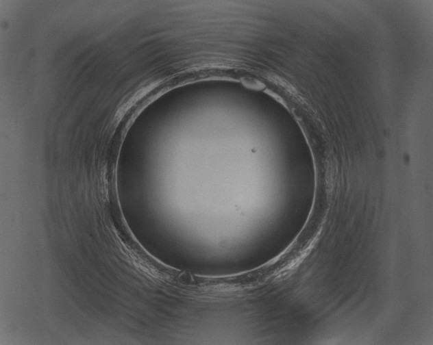 X0000068811113200605121243