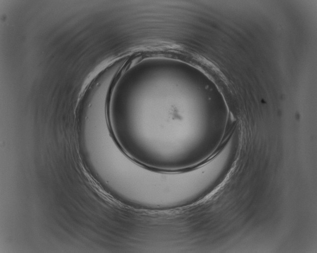 X0000068811114200605121243